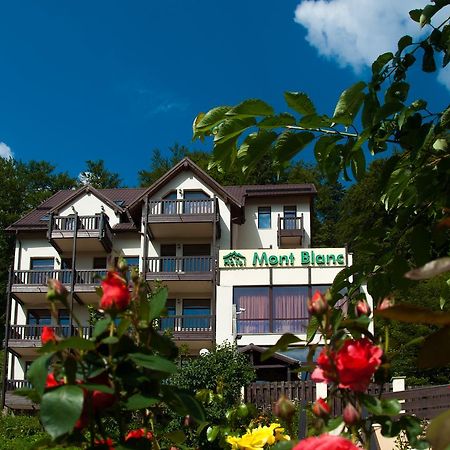 Hotel Mont Blanc Predeal Exterior foto